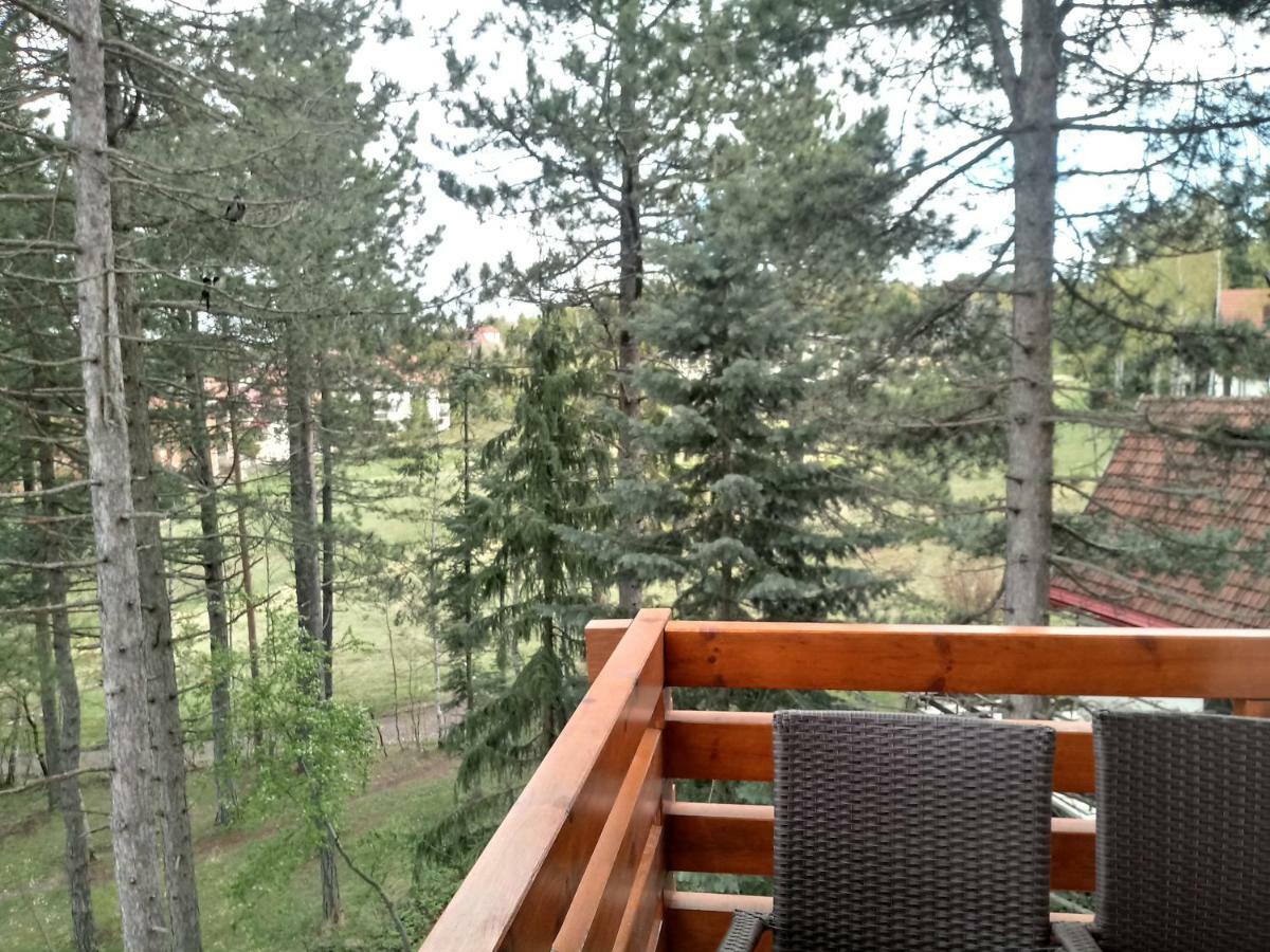 Apartman Nana Svetogorska 19 ,Stan 17 Zlatibor Exterior foto