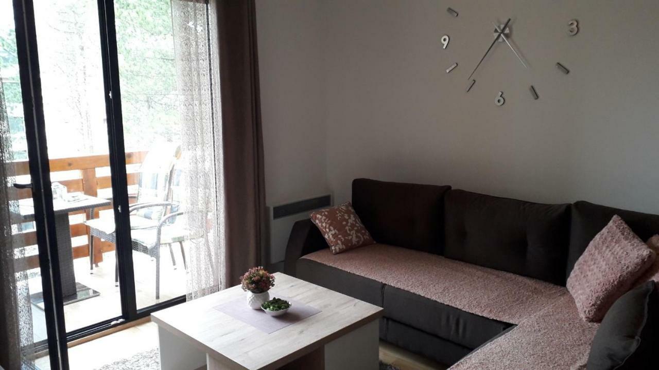 Apartman Nana Svetogorska 19 ,Stan 17 Zlatibor Exterior foto